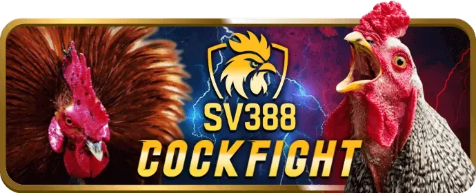 Hoa hồng cao bom88